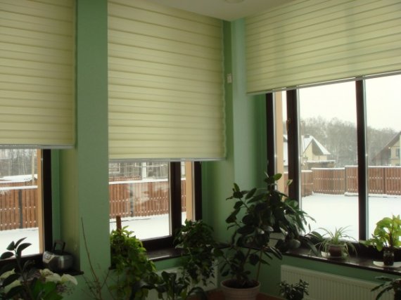 Выбираем шторы плиссе на пластиковые окна: фото идеи